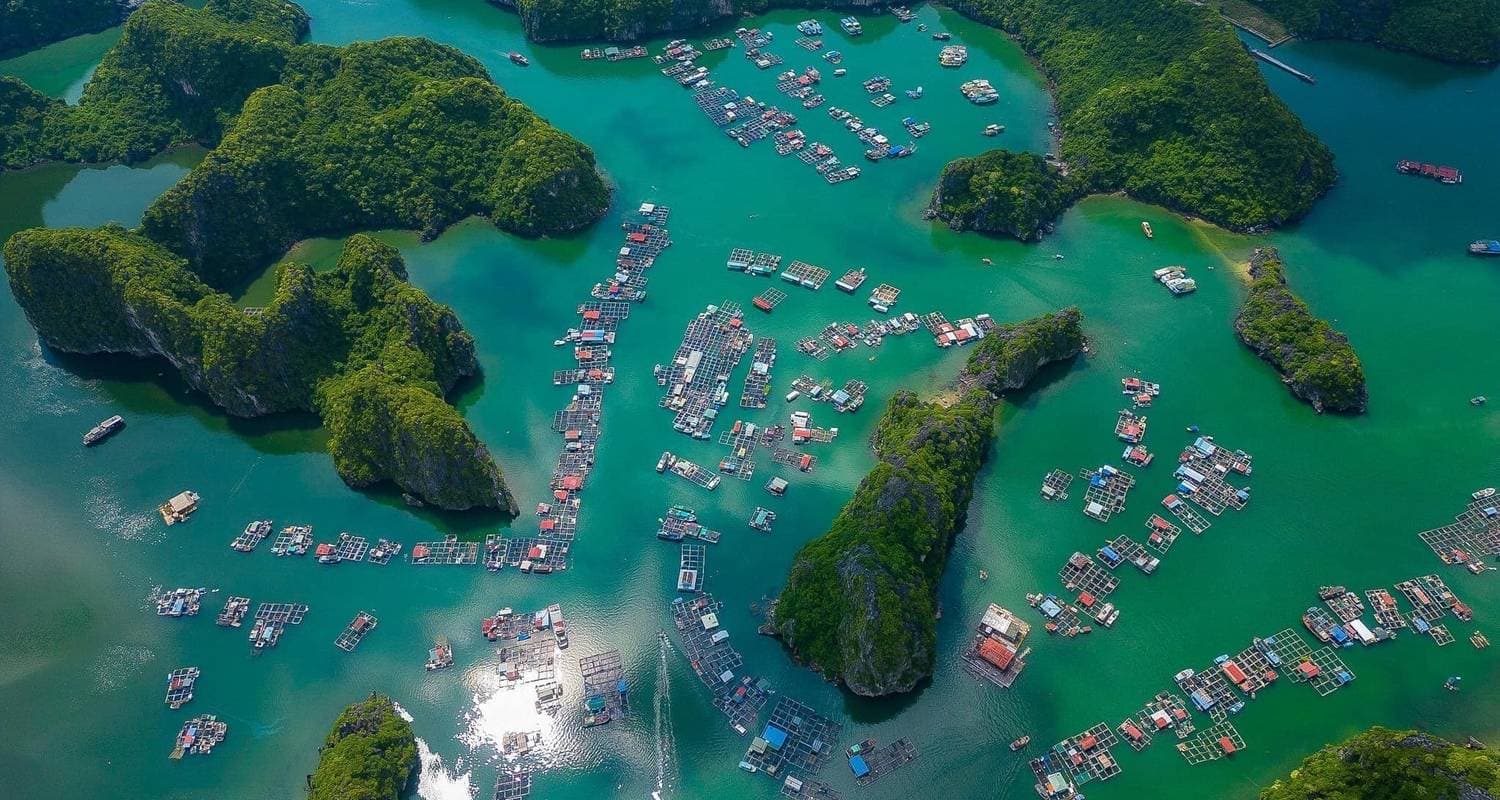 Amazing Vietnam 10 Days 9 Nights Tour From North Central To South