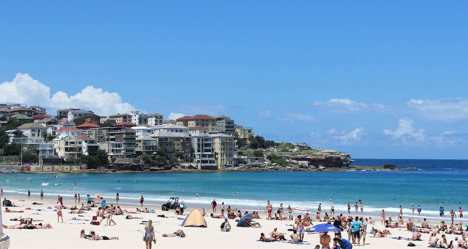Sydney to Brisbane Experience: Bushwalks & Surfing