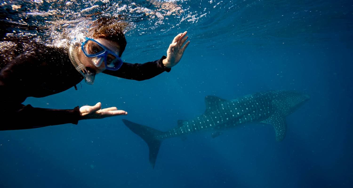 Australia’s West Coast & Ningaloo Reef – 8 Day Boutique Comfort Tour