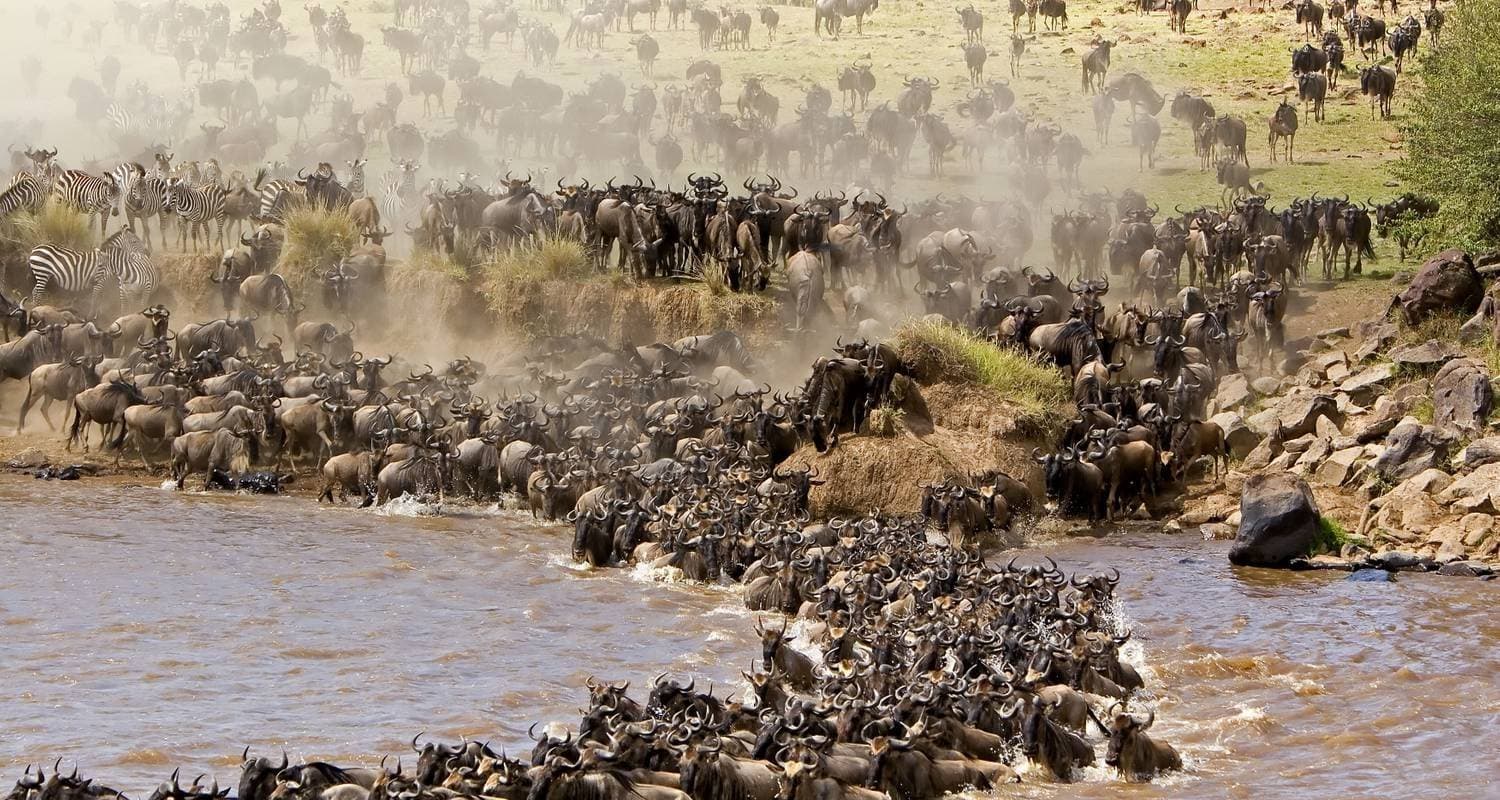 Great Serengeti Migration Safari *Tailor Made* Private Tour
