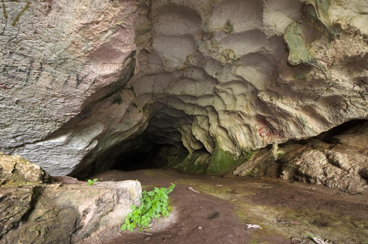 Cave of Pëllumbas (Shpella e Pëllumbasit)
