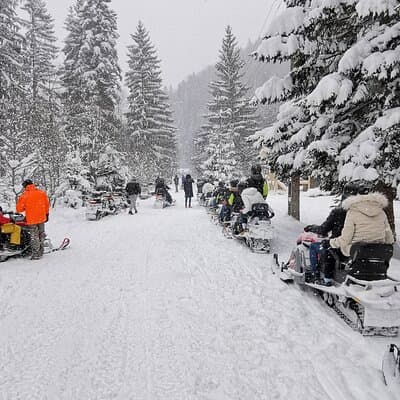 Bucharest: Snowmobile or ATV Quad Bike Tour Carpathian Mountains