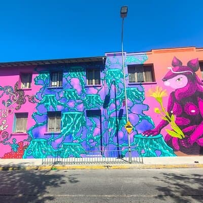 Santiago Barrio Yungay Street Art Walking Tour Experience