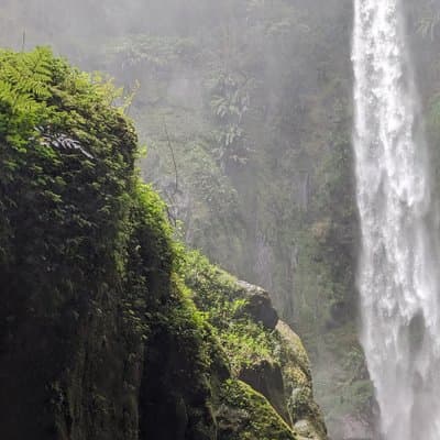 Best & Top of Arusha; Coffee Tour and Waterfall Hike.