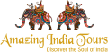 Amazing India Tours logo