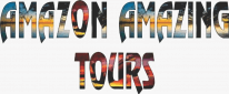 Amazon Amazing Tours logo