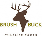 BrushBuck Wildlife Tours logo