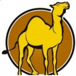 Nomadic Tours logo
