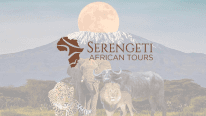 Serengeti African Tours logo