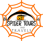Spider Tours and Safaris logo
