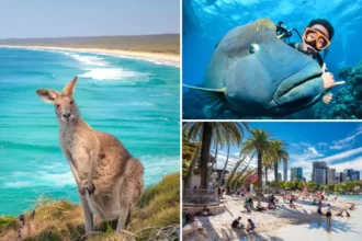 A collection of typical images that you would likely see on G Adventures Australia tours