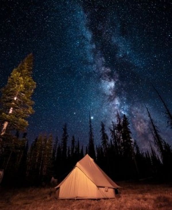 A luxury tent underneath the Milky Way stars surrounded by tall pine trees