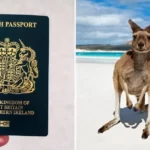 British passport and kangaroo on beach in Australia