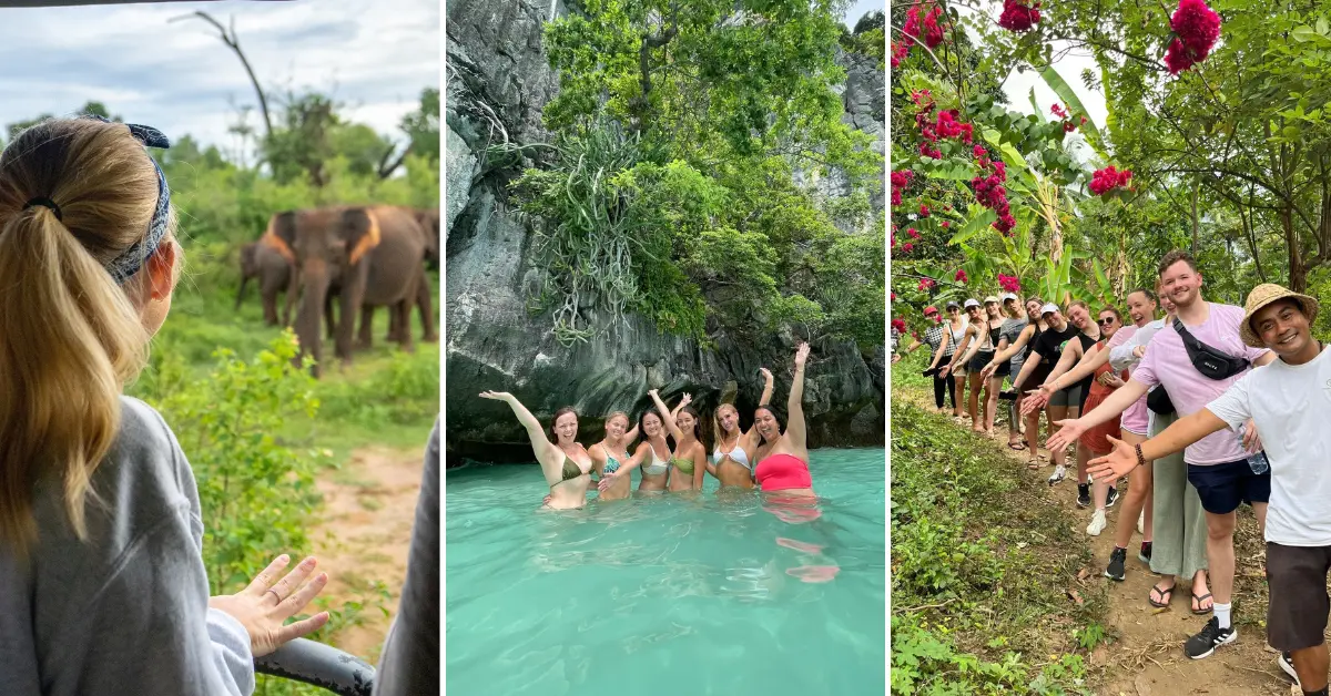 A collage from Feel Free Tours featuring a woman observing elephants, a group swimming in a turquoise lagoon, and tourists lined up on a jungle path.