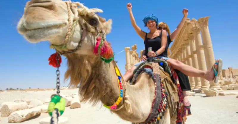 Camel rides in Egypt with On The Go Tours