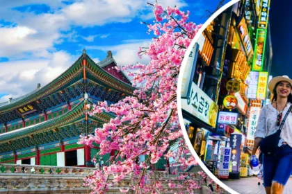 A snapshot that encapsulates the One Life Adventures South Korea Tours, highlighting the harmony of historic architecture adorned with cherry blossoms and the contemporary urban nightlife.