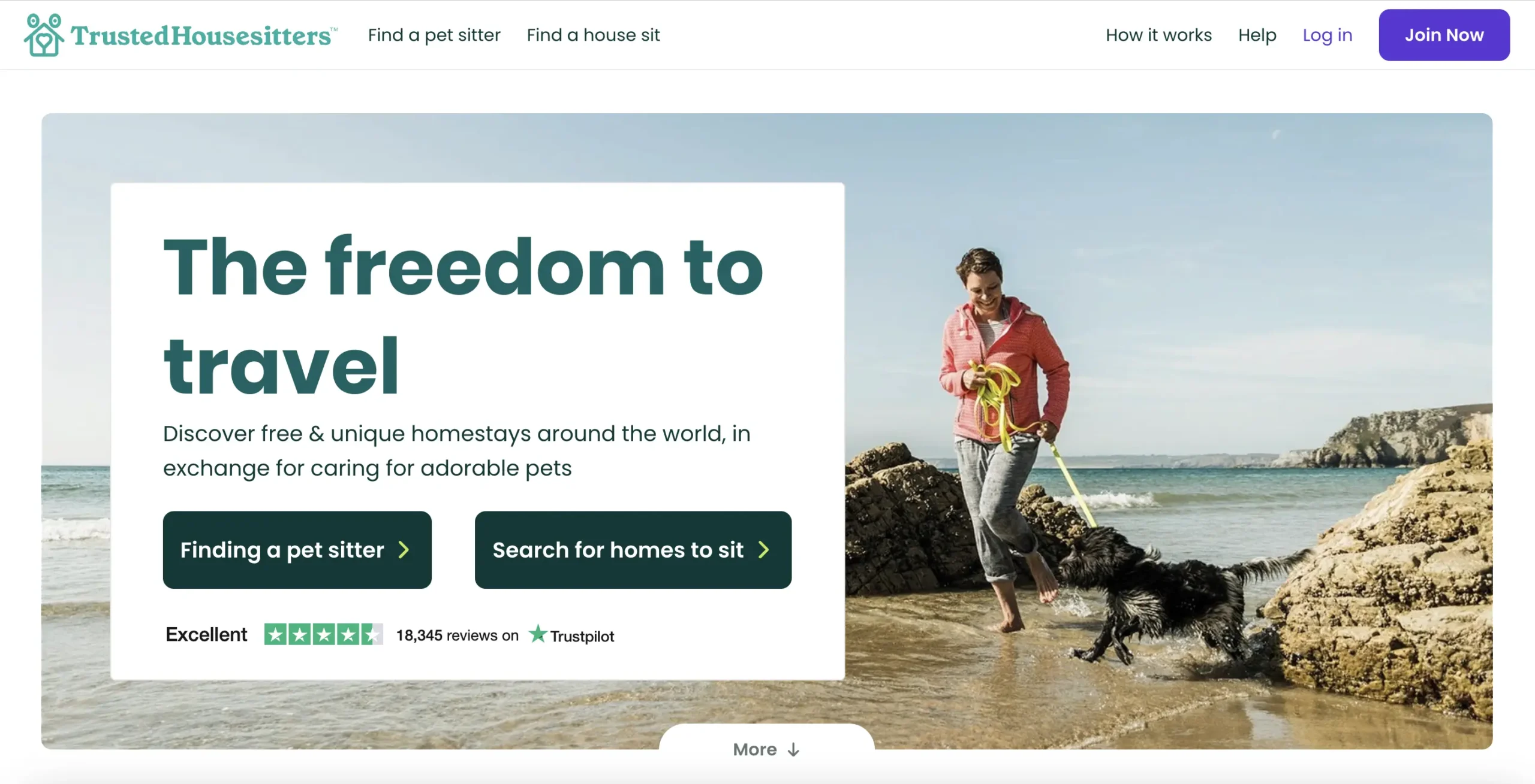 TrustedHousesitters website banner showing a person and a dog playing on the beach, with a headline promoting free travel through pet-sitting.