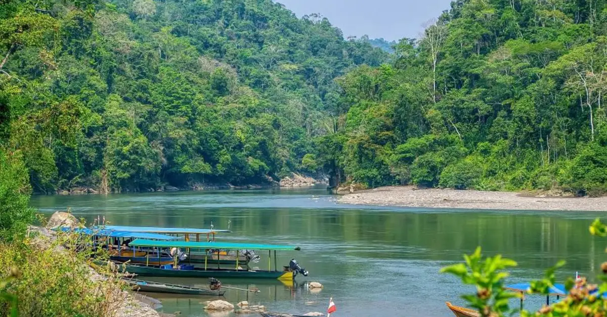 A serene river scene with lush green forested hills in the background. Several long boats with blue canopies are moored along the riverbank, ready for a journey through the tranquil waters. The dense foliage and calm water create a peaceful and picturesque natural setting.