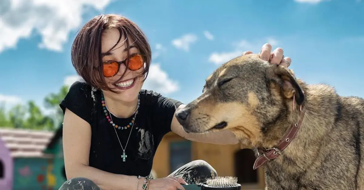 A woman wearing orange sunglasses and a black shirt is smiling while brushing a large dog. The dog appears content with its eyes closed. They are outdoors on a sunny day with a blue sky and some clouds. Colourful dog houses are visible in the background.